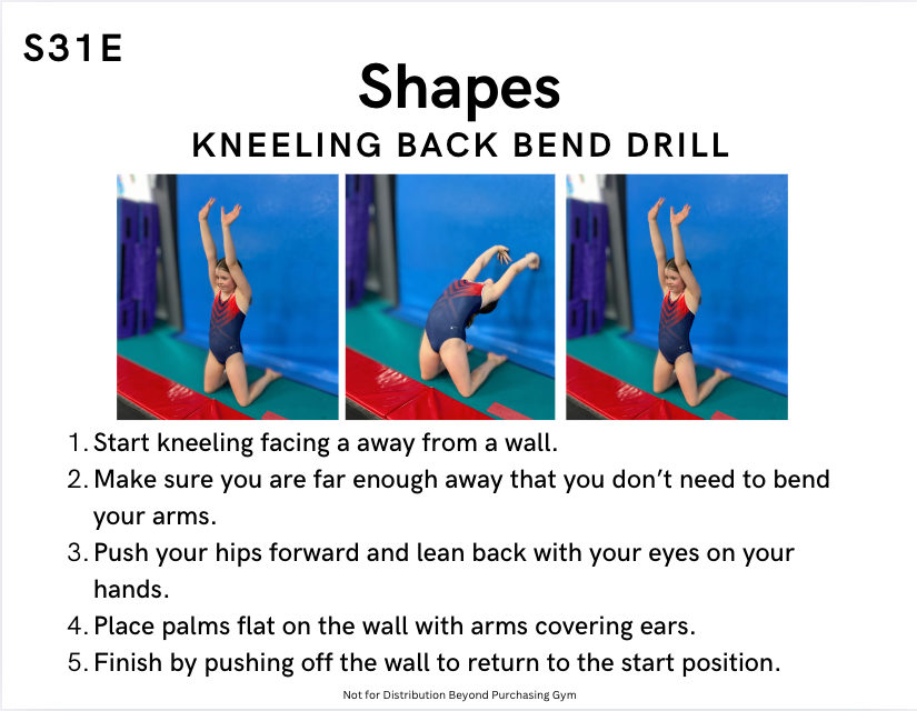 Pre-sale: 6 Week Beginner Lesson Plans for End of Year Routines on All Girls Events