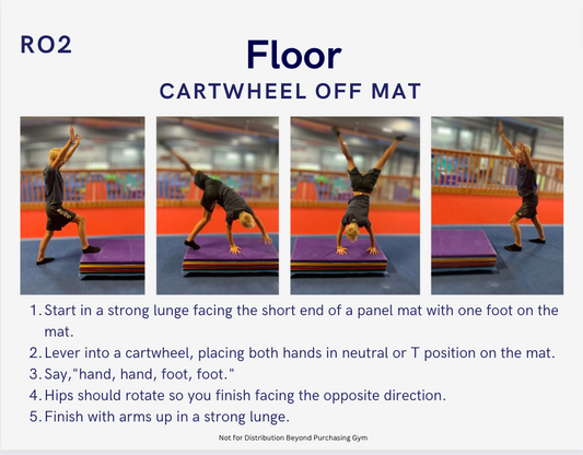 2 Complete Boy Gymnastics Rotations (40 skills/drills/games)